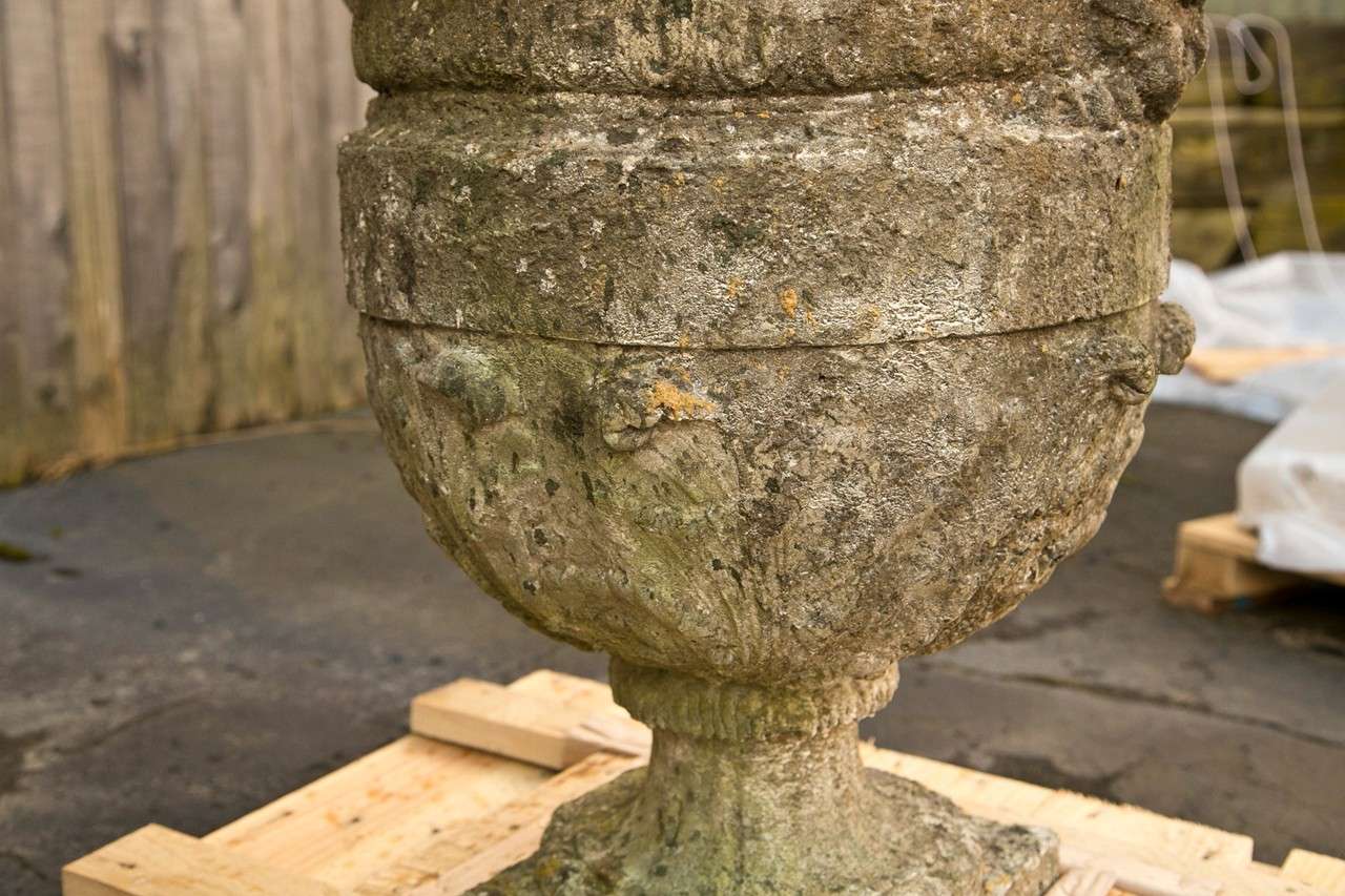 Set of Four Cement Urns with Ram Heads at 1stDibs