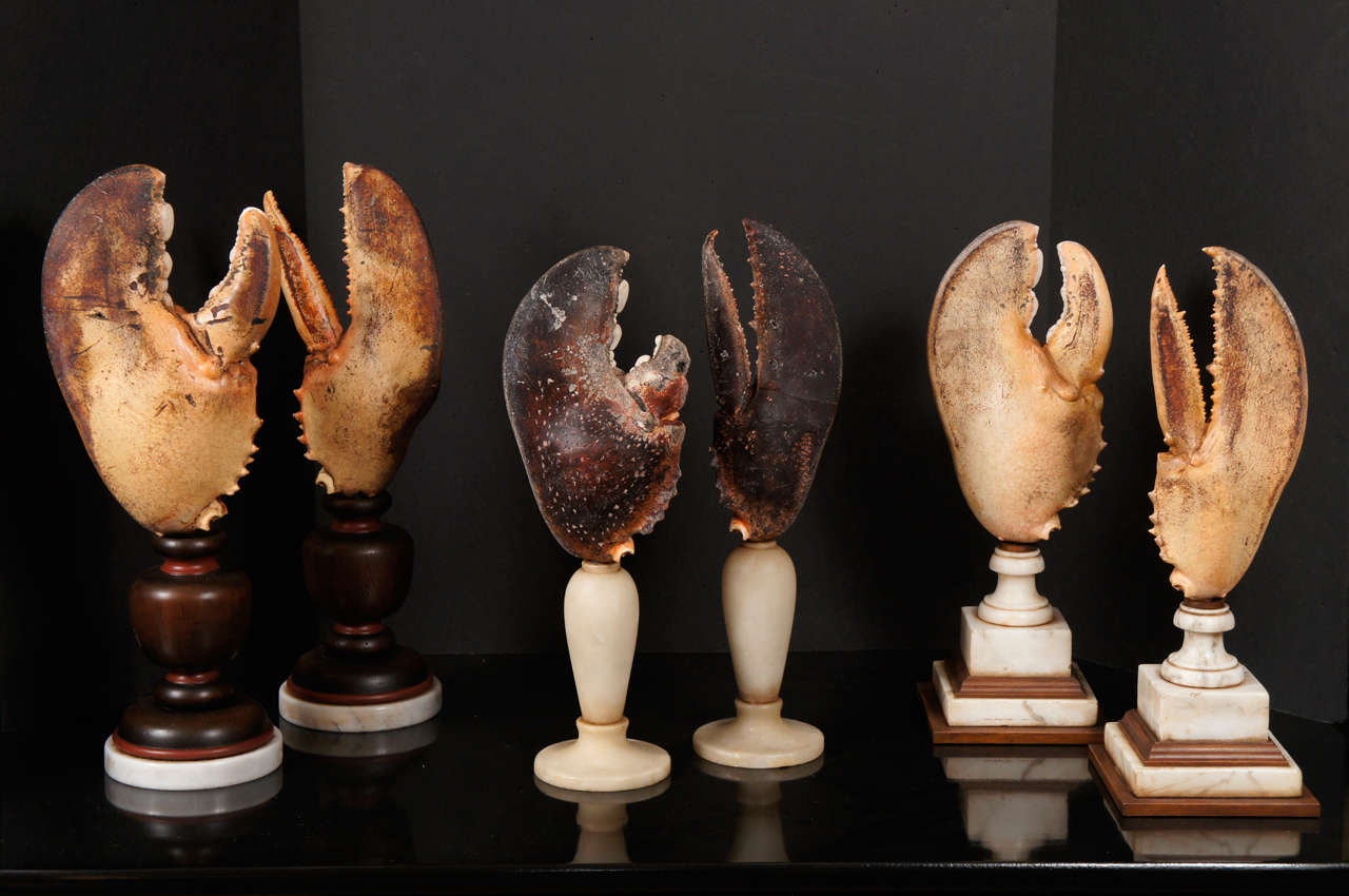 This collection is sold as individual pairs. The largest pair at left is mounted on turned and painted wood baluster shaped bases set up on marble bases.have been sold,The oldest but smallest pair in the middle show a great dark color indicative of