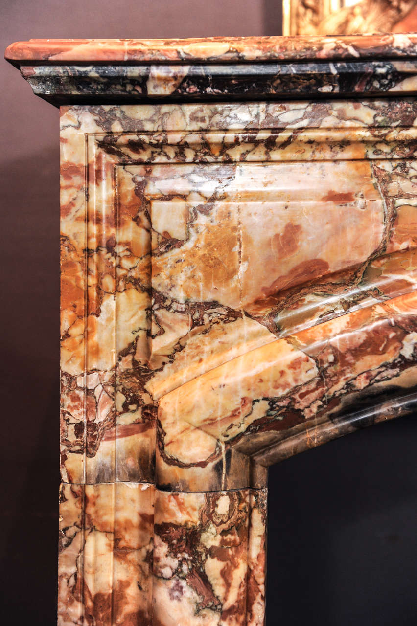 Neoclassical 19th Century Sarrancolin Marble Fireplace