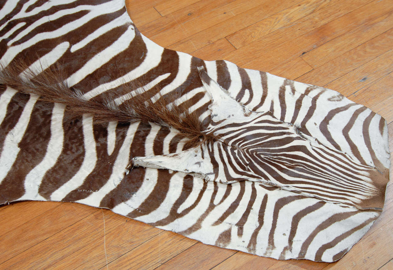 Brown and White Zebra Hide at 1stdibs