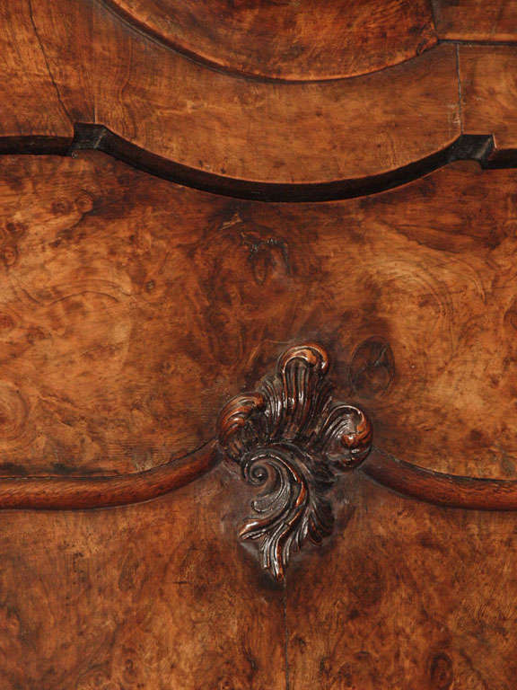 Antique Dutch Queen Anne Burled Walnut Cabinet 2