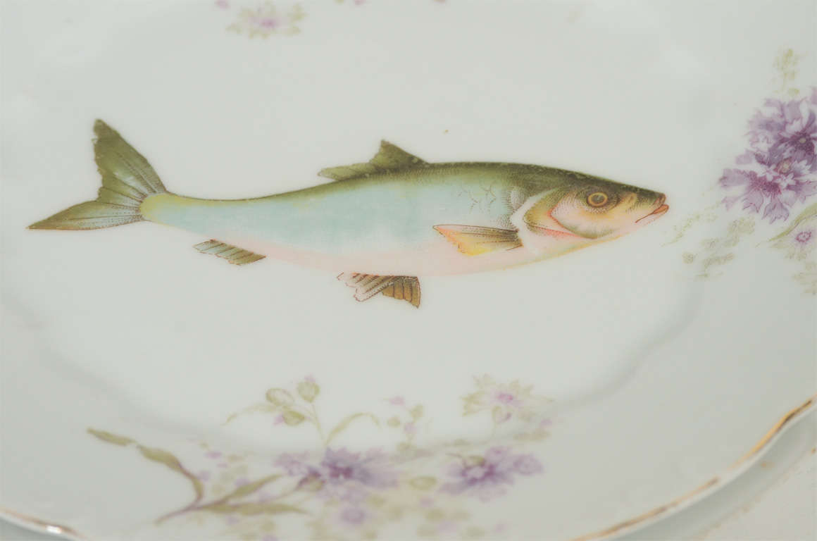 Art Nouveau LS&S Carlsbad Austria Porcelain Fish Set 1