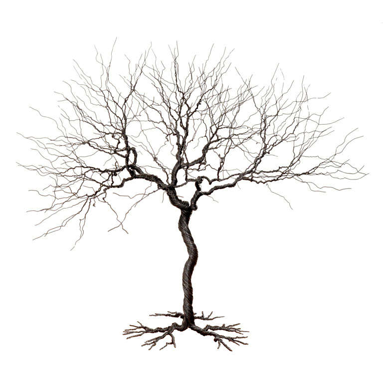 Contemporary Medium Wire Tree Sculpture by Pablo Avilla