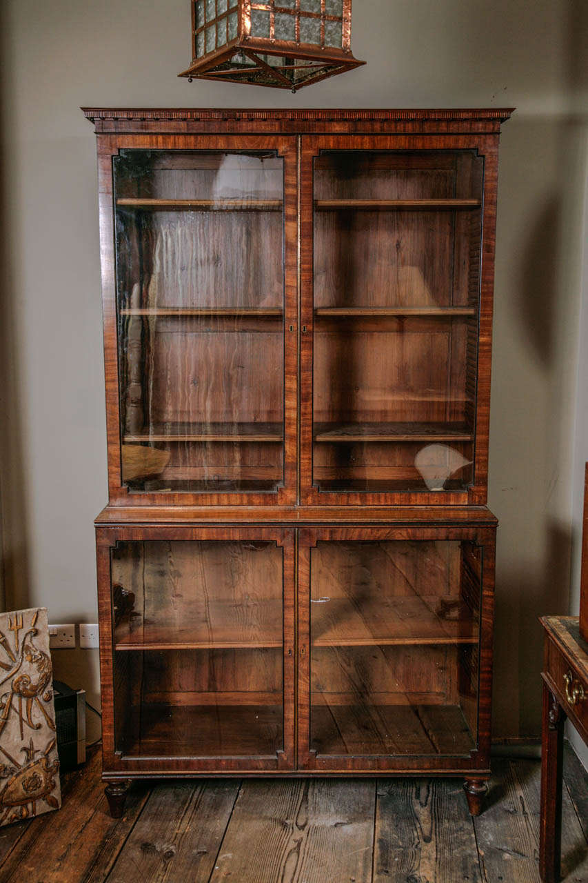 George Iii Mahogany And Inlaid Display Cabinet