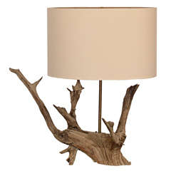 Graceful Driftwood Lamp