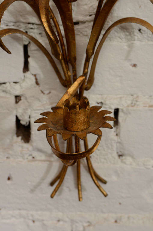 Italian Pair of Sheaf of Wheat Wall Sconces