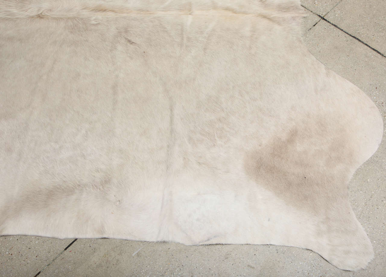 Brazilian Rare All Natural White Cowhide Rug