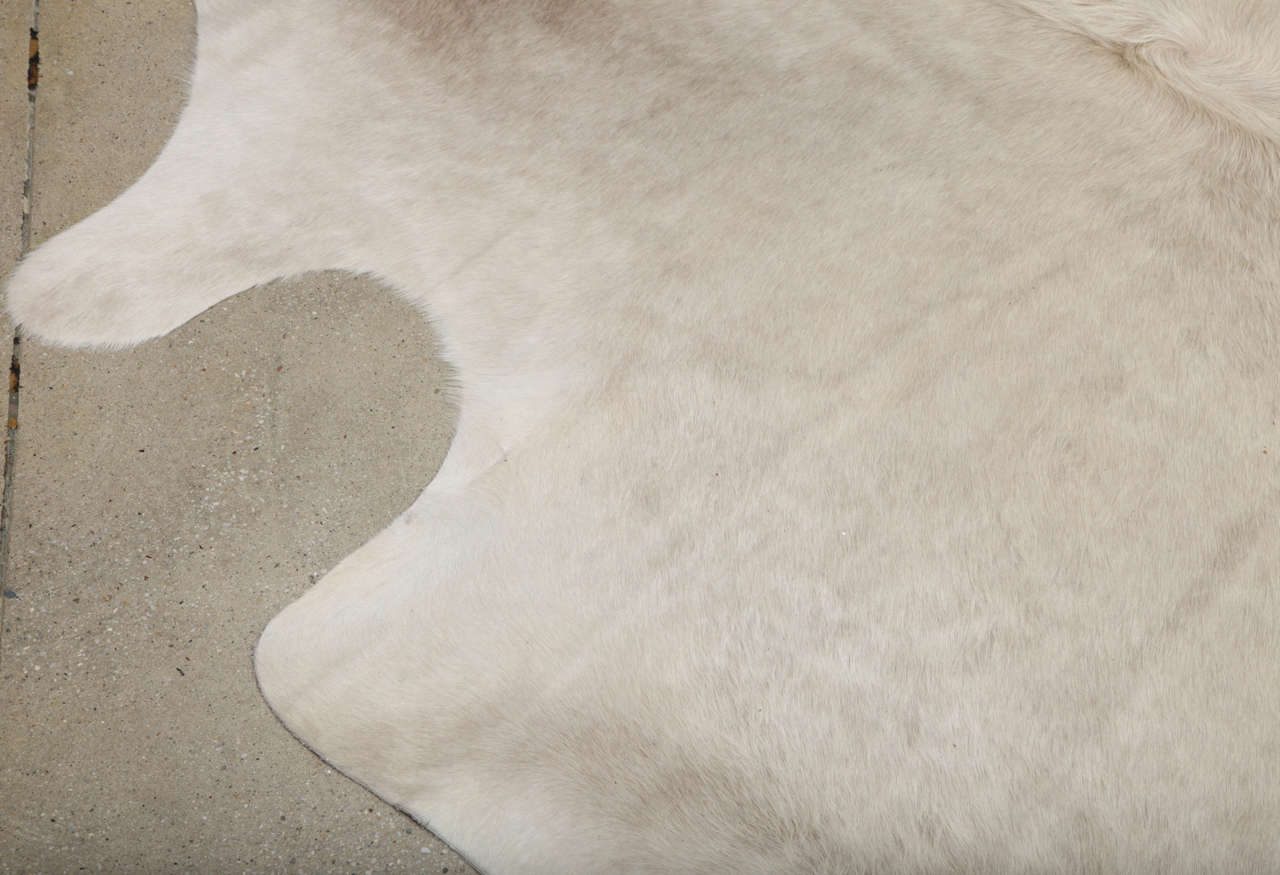 Rare All Natural White Cowhide Rug In Excellent Condition In New York, NY