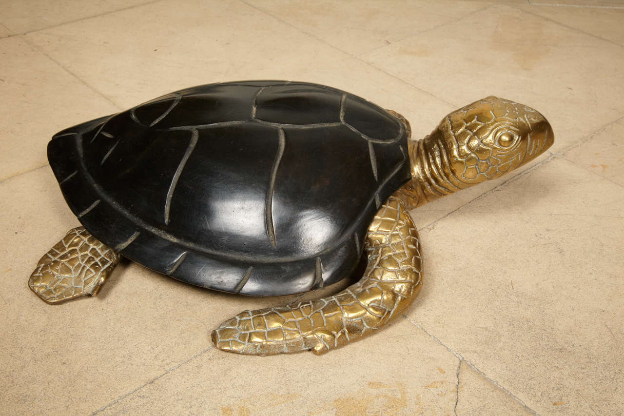 1970s Funny Tortoise Box