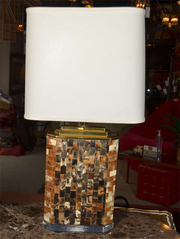 Lucite and Horn lamp