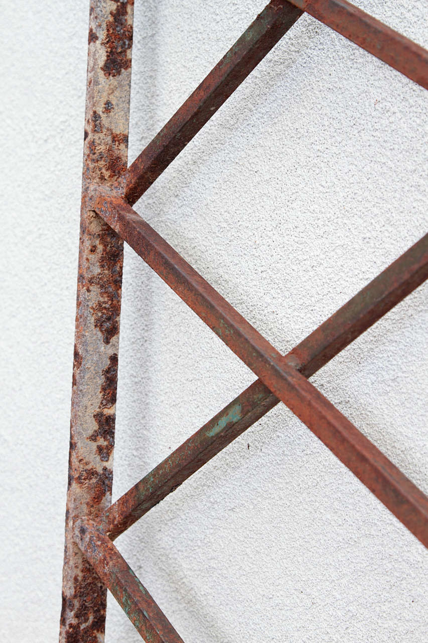 Rustic Antique French Garden Trellis