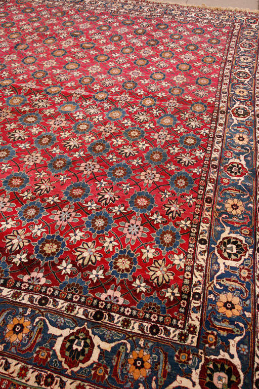 Wool Fine Veramin carpet For Sale