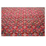 Fine Veramin carpet