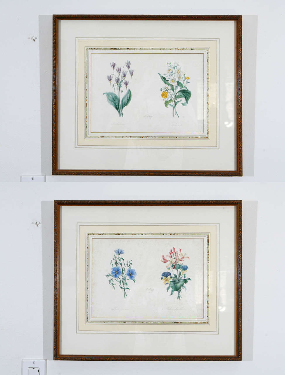 Set of framed French botanical prints by B. Bessin. Hand tinted and framed with museum quality material.   Carved and gilded wood frames, acid free framing materials and solar protective lucite.  Images measure 12