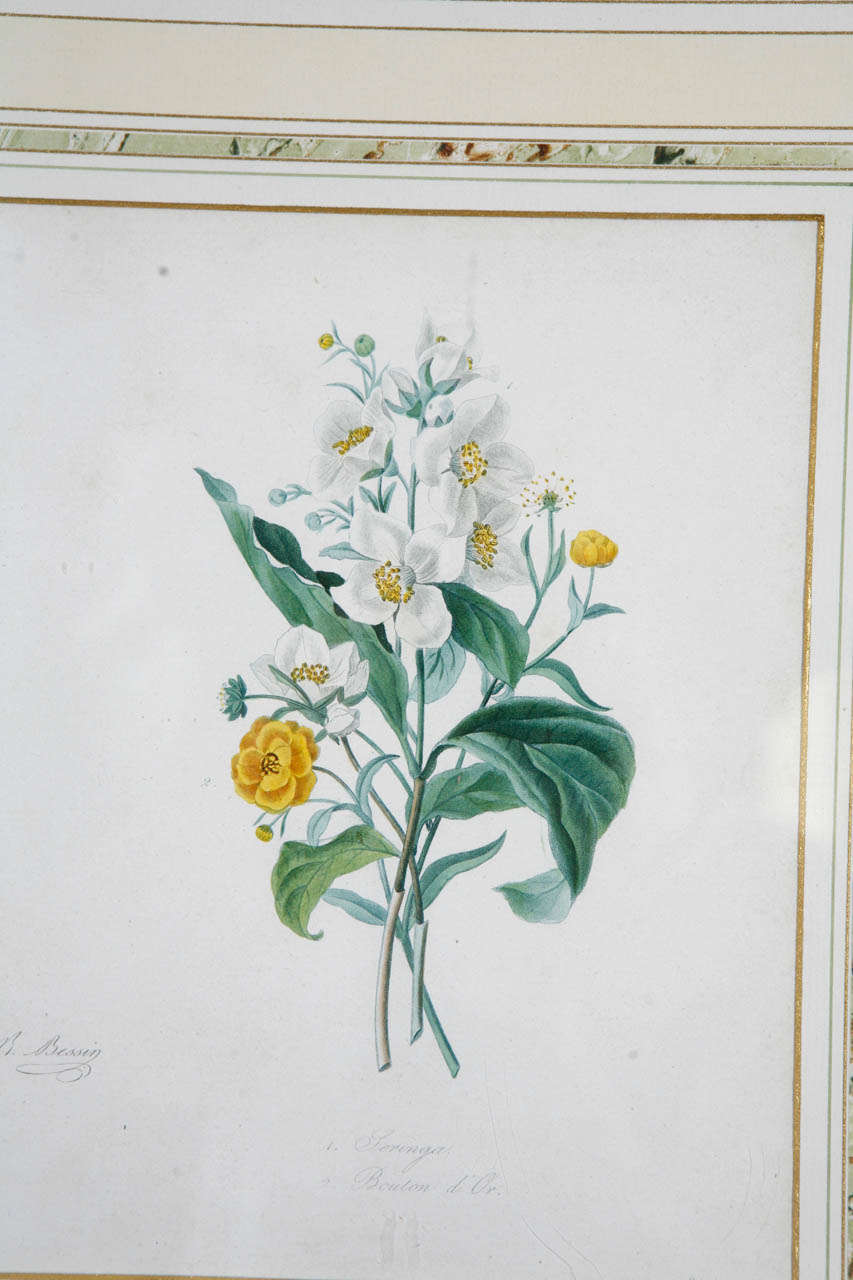 Set of Two Antique Botanical Prints In Excellent Condition For Sale In Los Angeles, CA