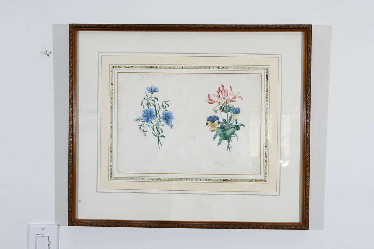 19th Century Set of Two Antique Botanical Prints For Sale