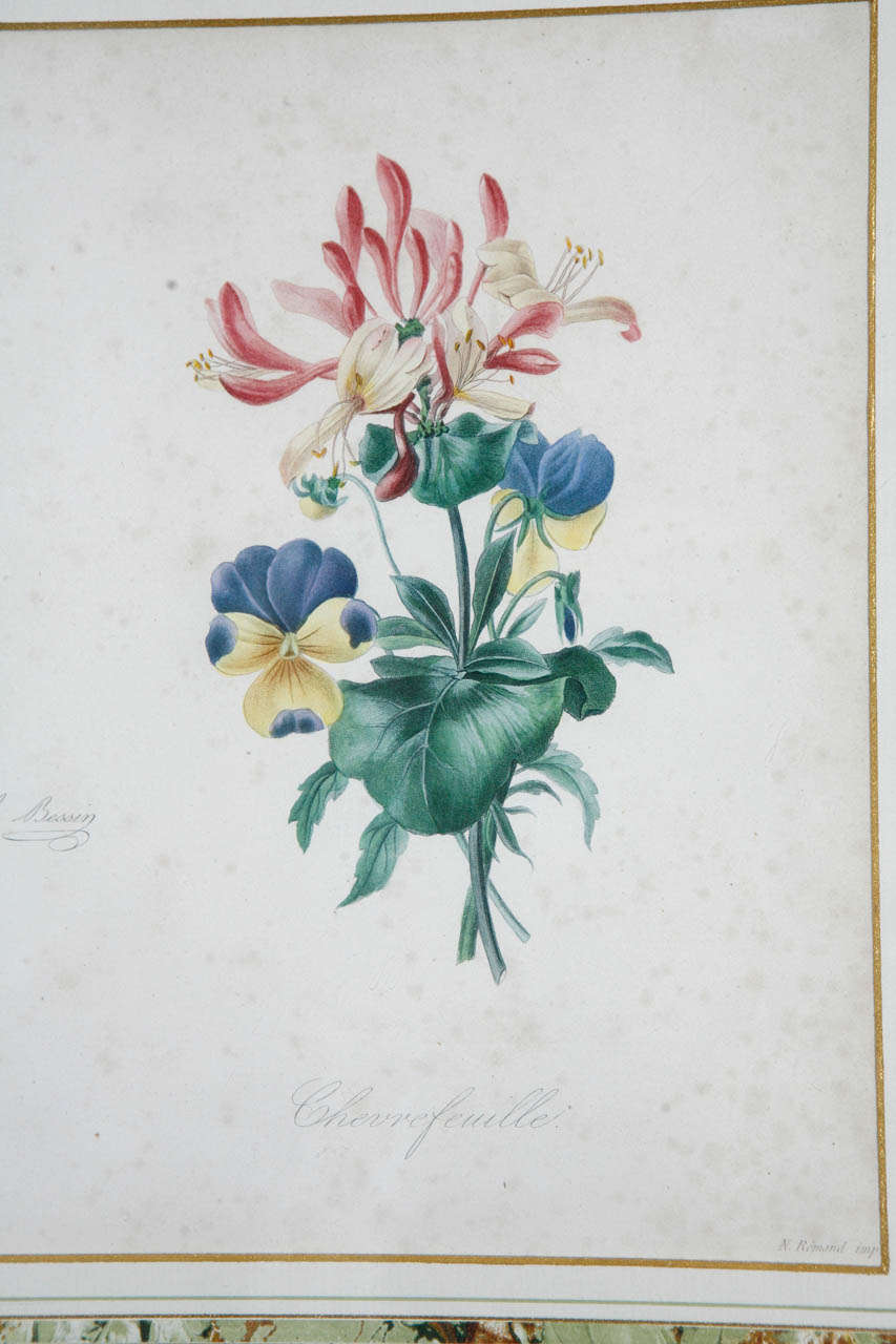 Set of Two Antique Botanical Prints For Sale 2