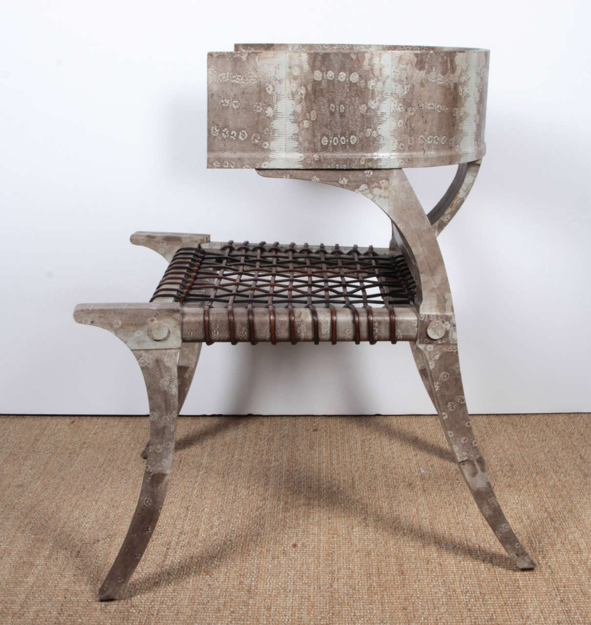20th Century Natural Grey Lizard Klismos Chair For Sale