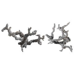 Pair of Grey Washed Root Wall Sculptures