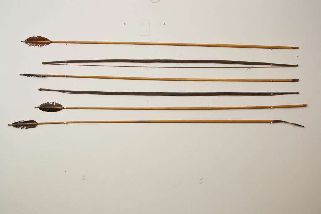 Yanamami  Tribe  Bows  And  Arrows