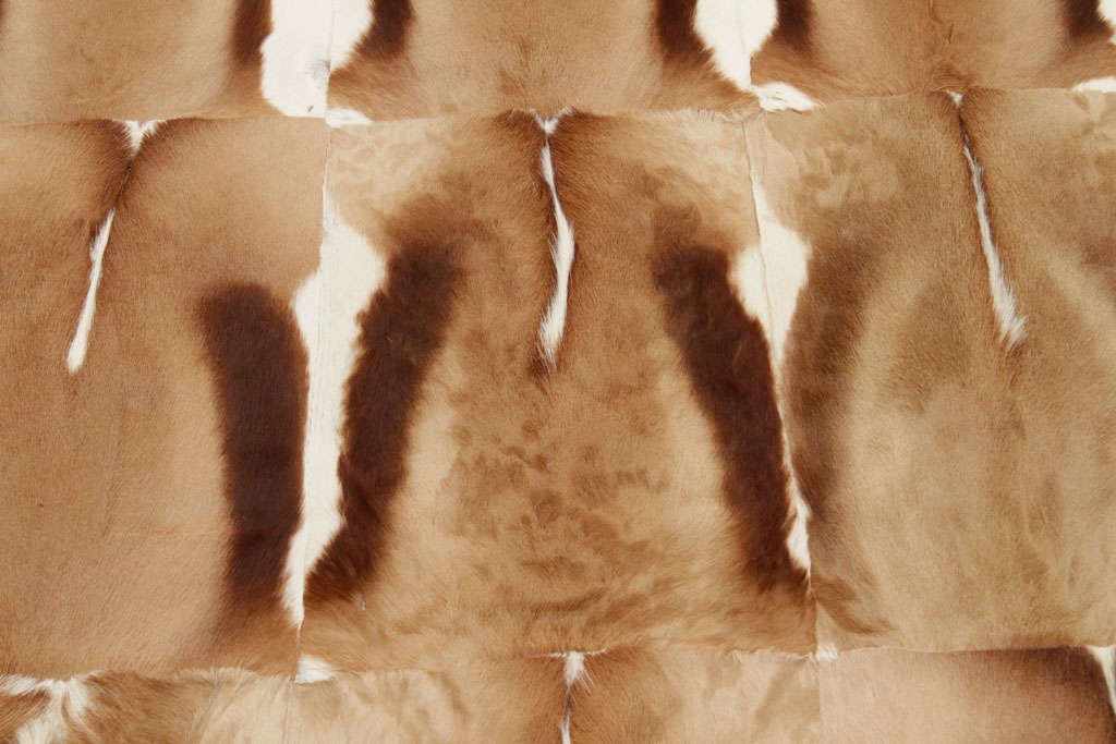 Rectangular African Springbok Gazelle rug composed of sixteen hides.