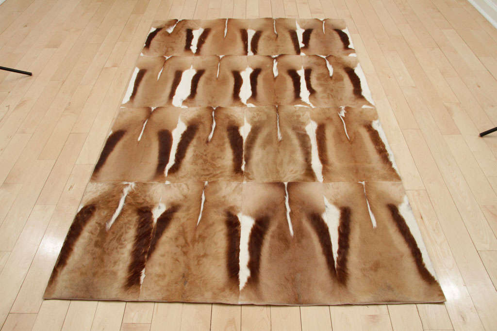 African Springbok Gazelle Rug In Excellent Condition In New York, NY