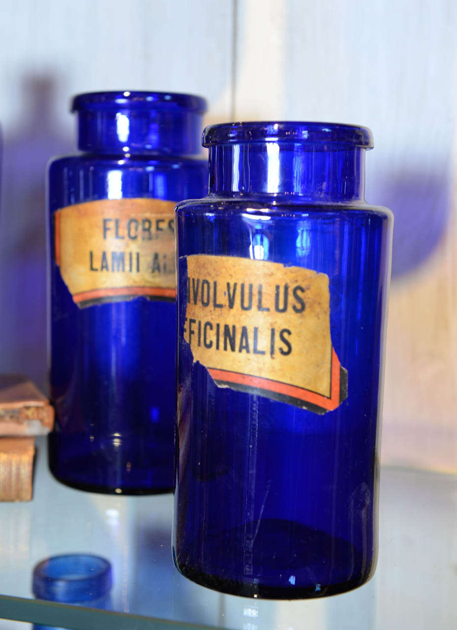 Collection of Twenty Five 19th Century Pharmacy Jars In Good Condition In Atlanta, GA