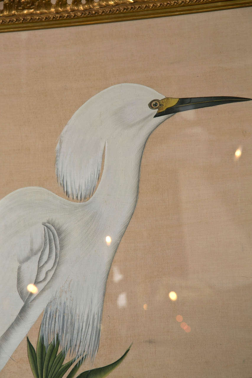 19th Century Indian Painting on Silk of an Egret