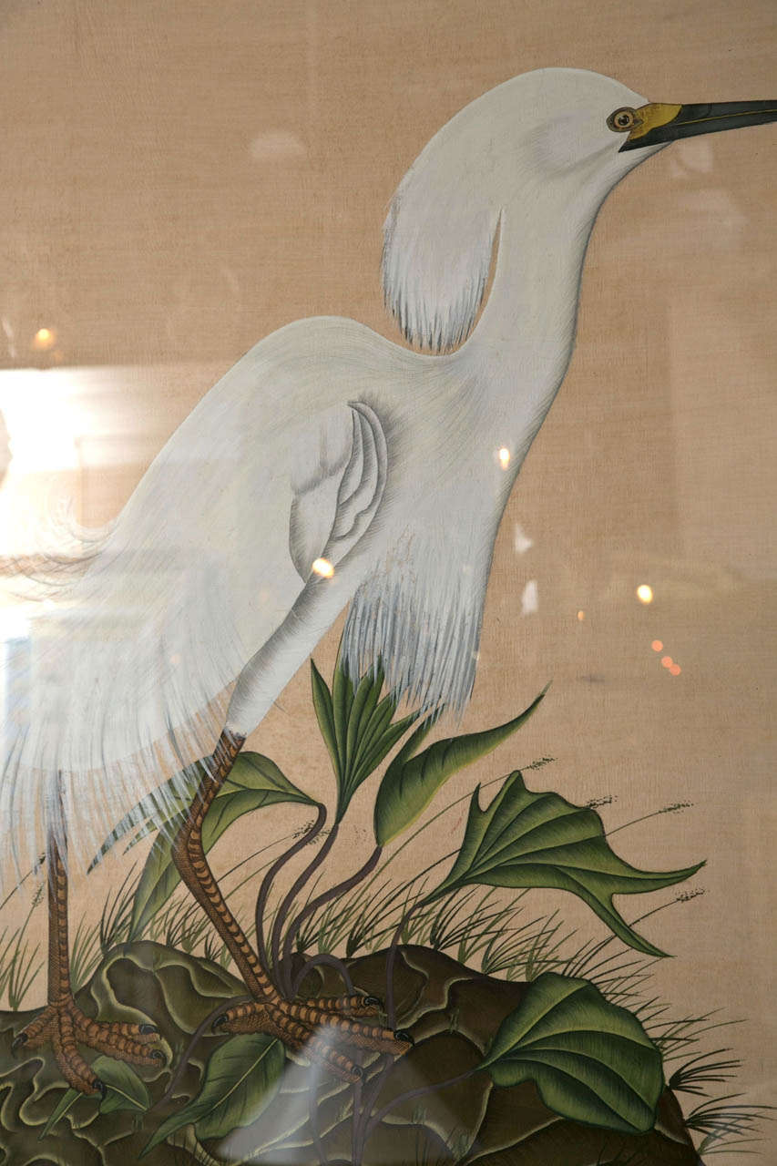 Indian Painting on Silk of an Egret 1