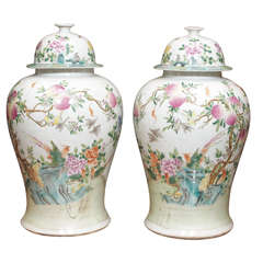 Antique Pair of 19th Century Chinese Ginger Jars