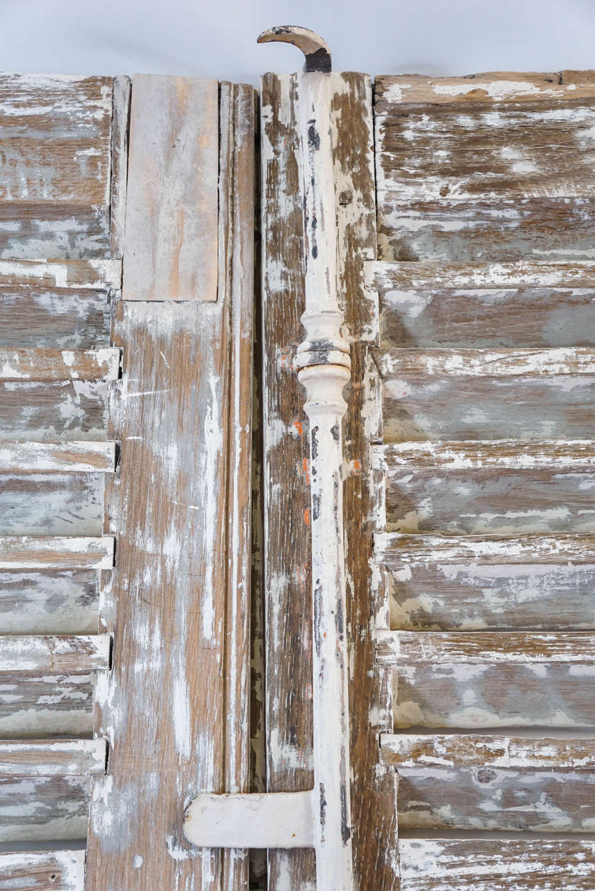 Painted Pair of Antique French Paneled Louvred Shutter Doors