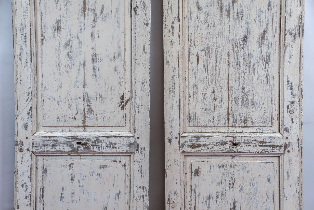 Iron Pair of Antique French Paneled Louvred Shutter Doors