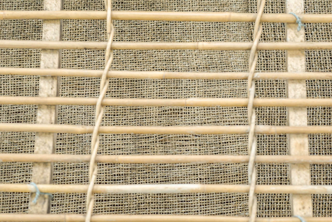 pigeon carrier cage