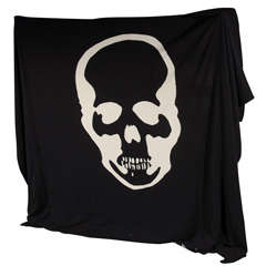 BIG Lucien Pellat Finet Cashmere Skull Blanket
