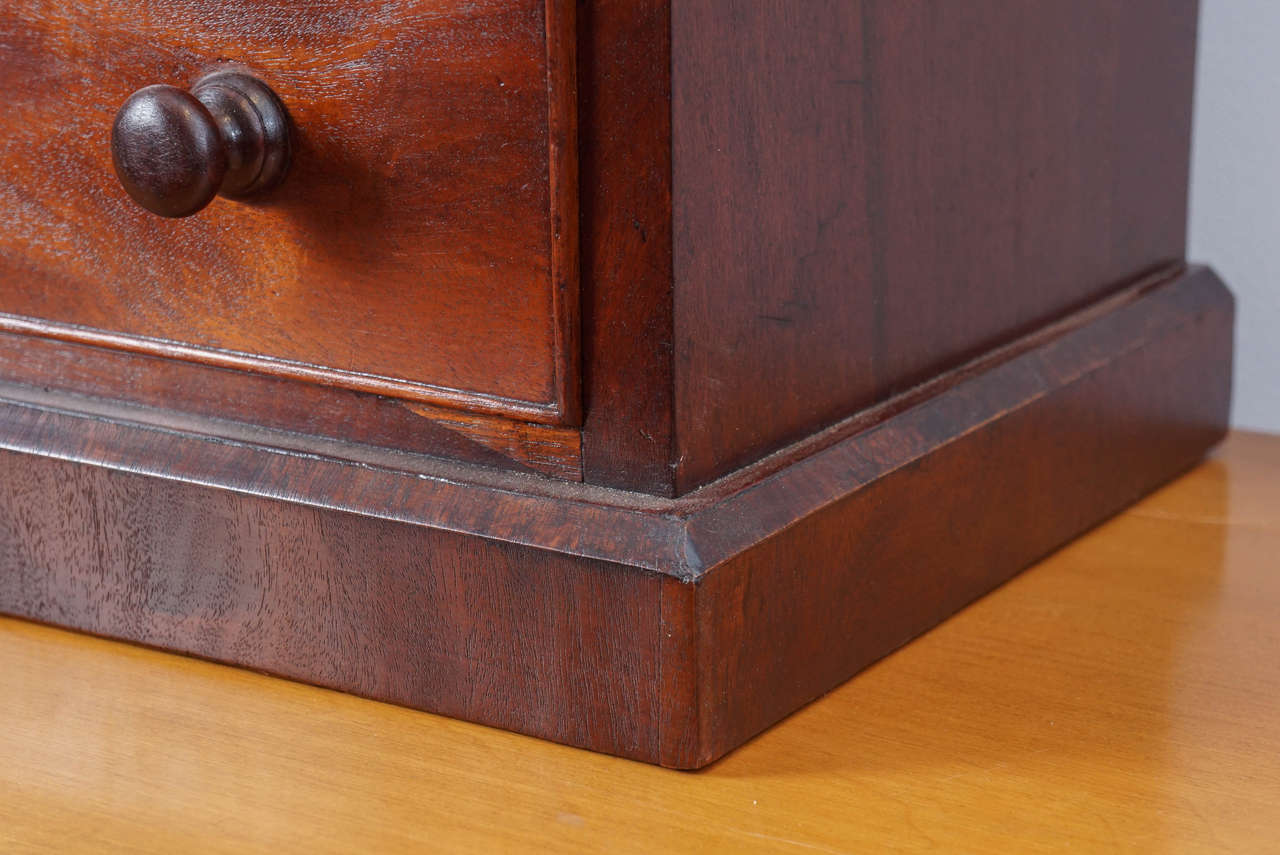 Mid-19th Century Diminutive Mahagony Cabinet For Sale