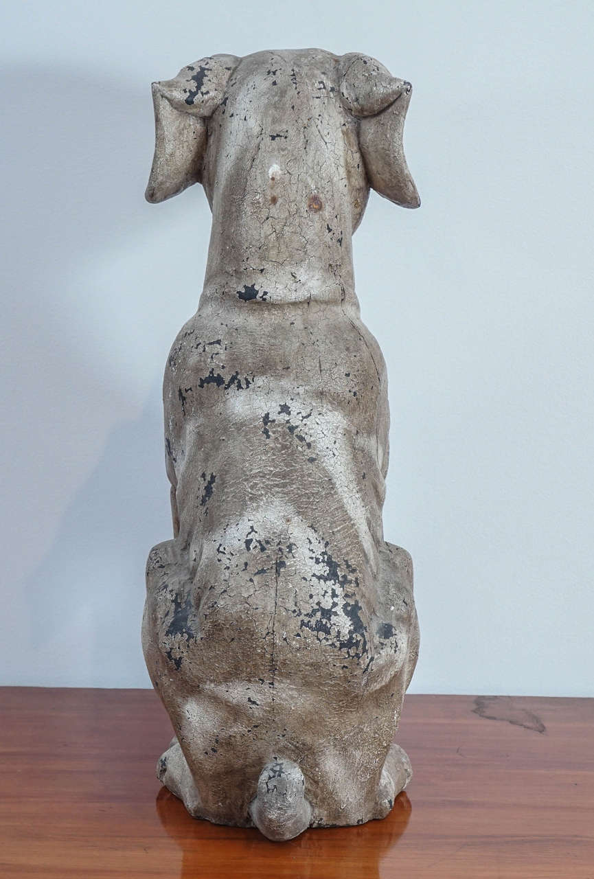 American Spectacular Seated Dog in Old Paint
