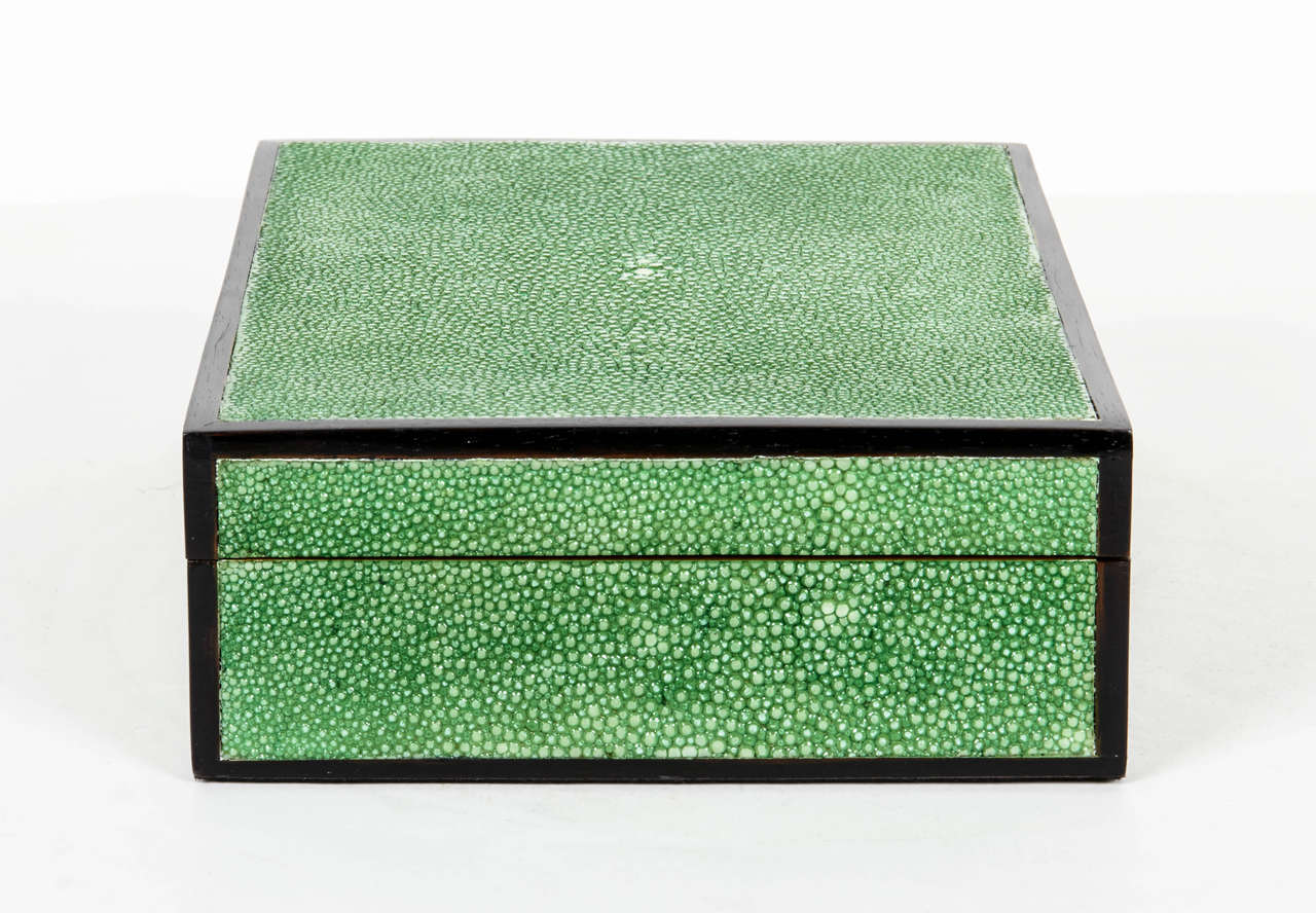 Art Deco Exotic Shagreen Box with Ebonized Wood Trim