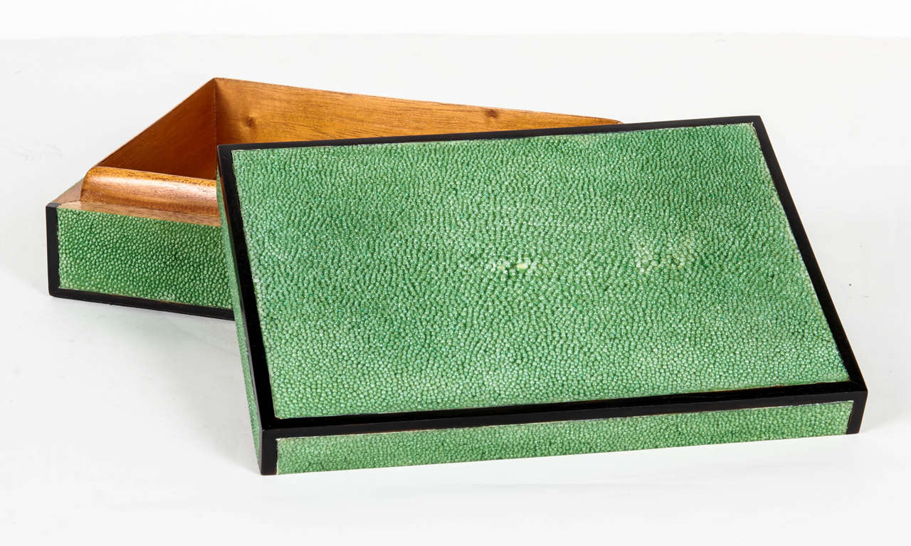 American Exotic Shagreen Box with Ebonized Wood Trim