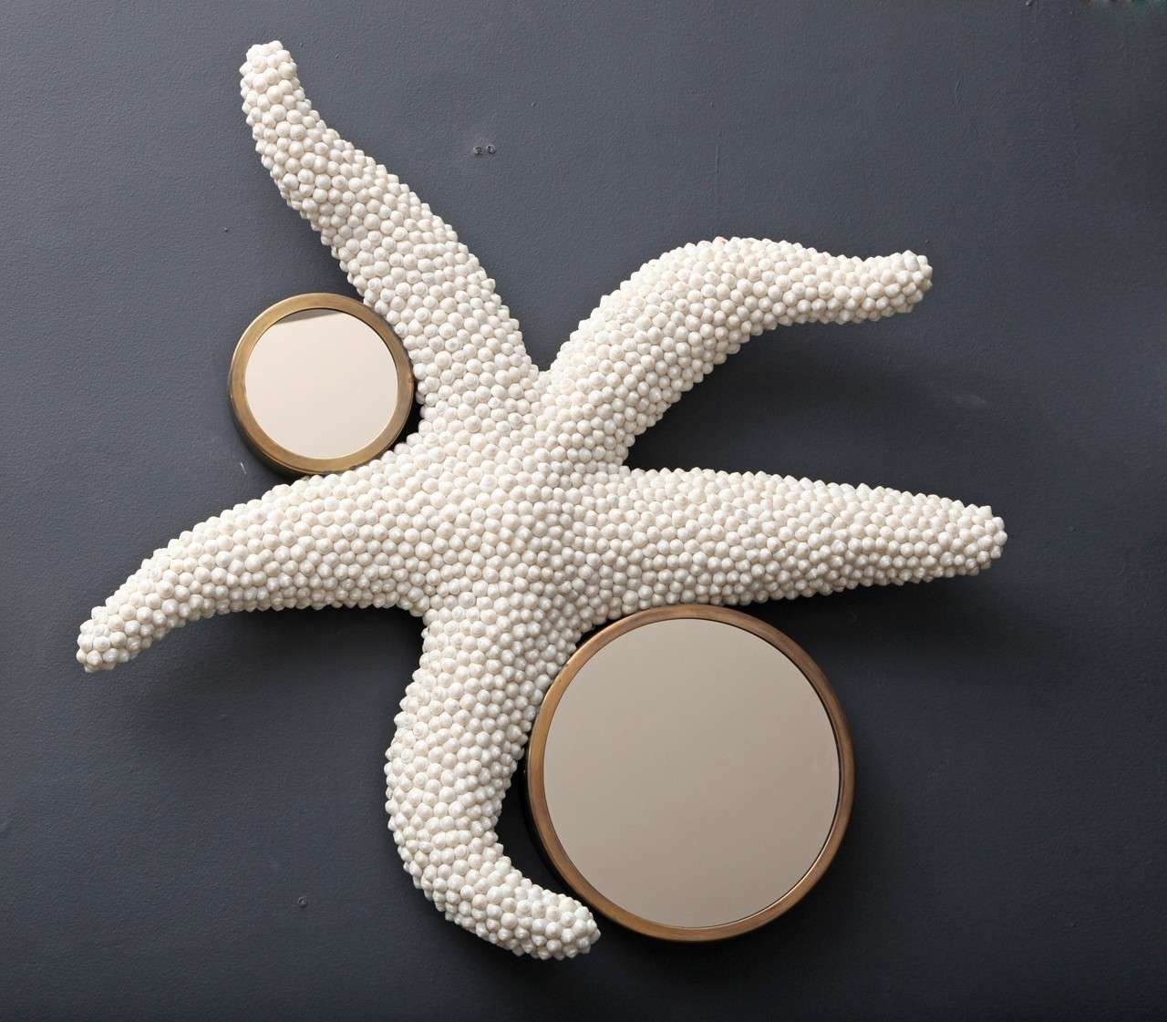 "Etoile de Mer" Contemporary Shell Mirror by Thomas Boog