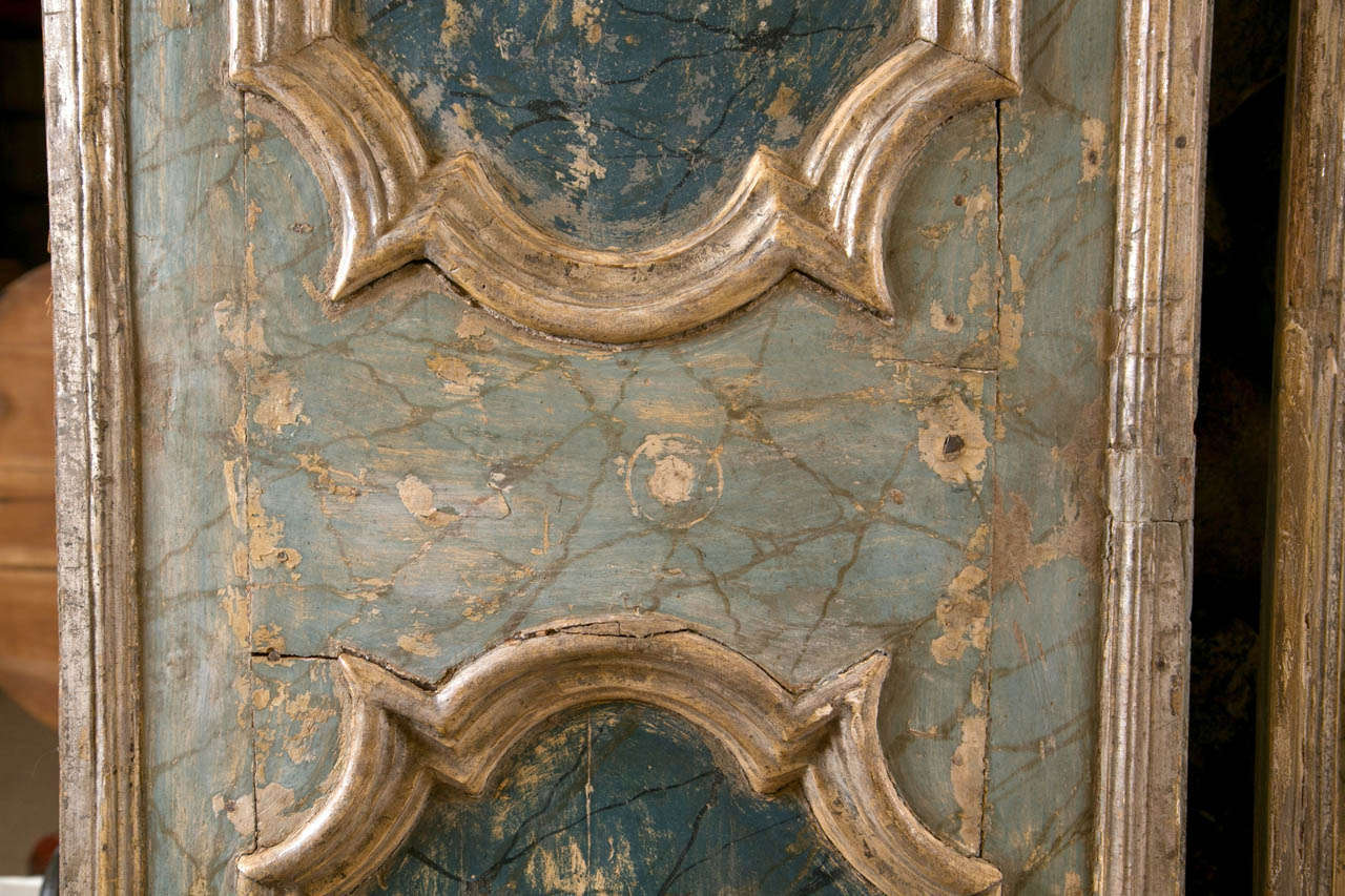 French Two Louis XV Style Faux Painted Door Panels For Sale