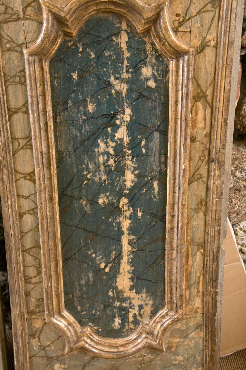 Two Louis XV Style Faux Painted Door Panels For Sale 2