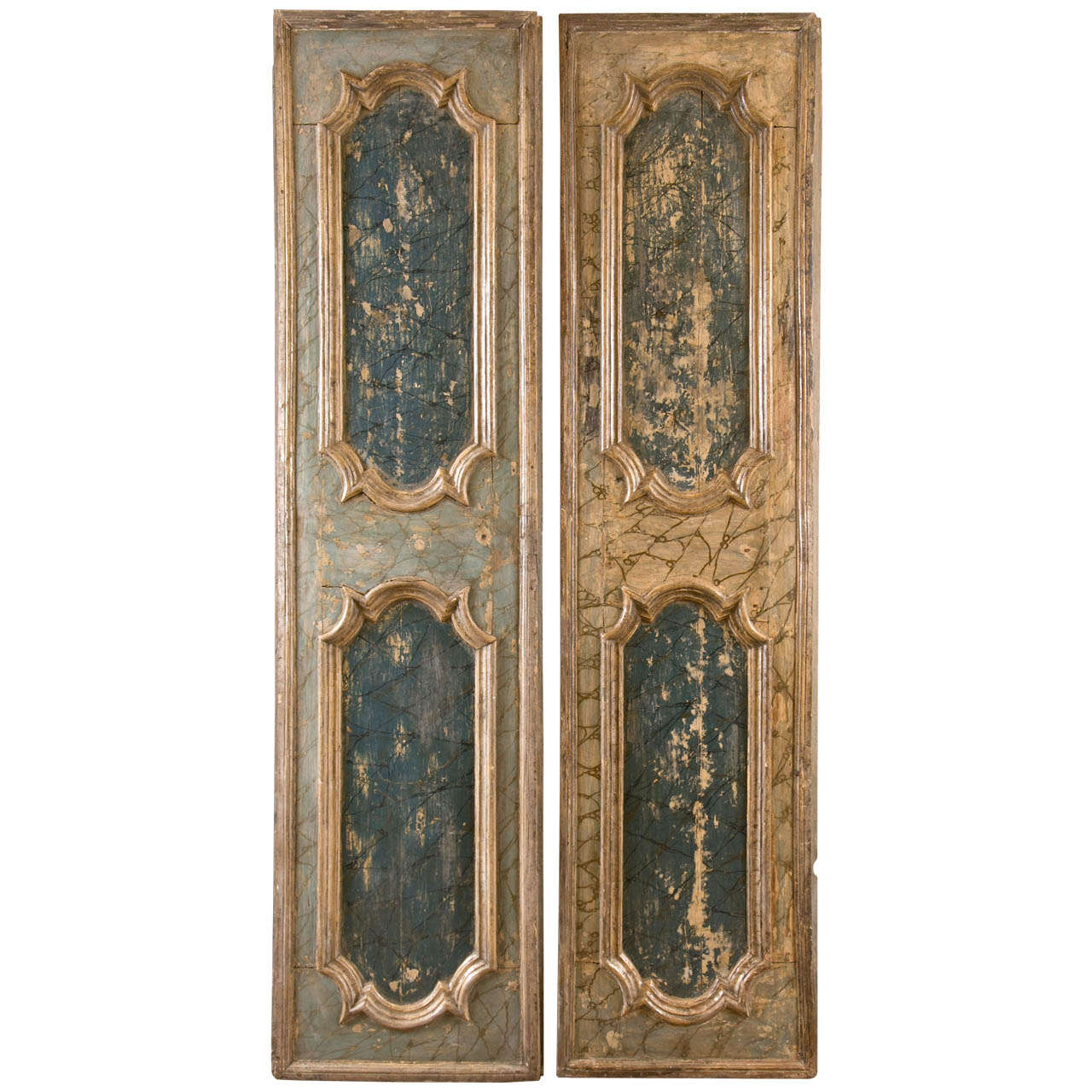 Two Louis XV Style Faux Painted Door Panels For Sale
