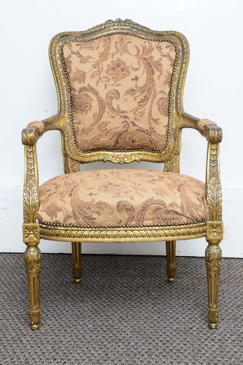 These are a very nice pair of gilt French armchairs in the original gilt work.
They sit on turned carved legs to the back they have superb carvings with a little age wear.
They have been recovered at some time and the fabric is in good condition,
