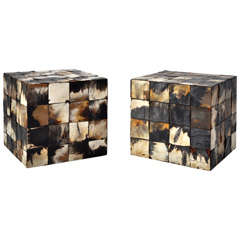 Vintage Horn Covered Cubes