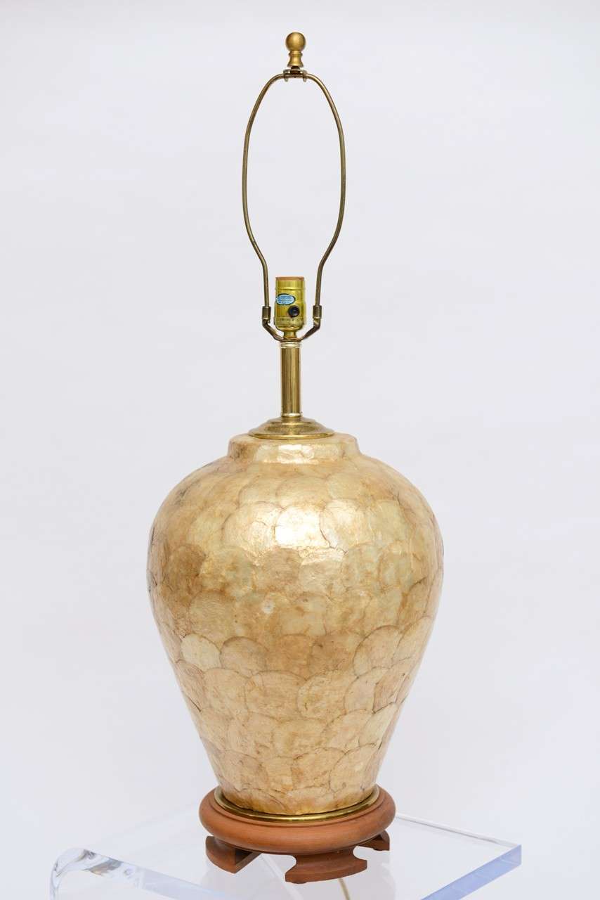 gold shell lamp
