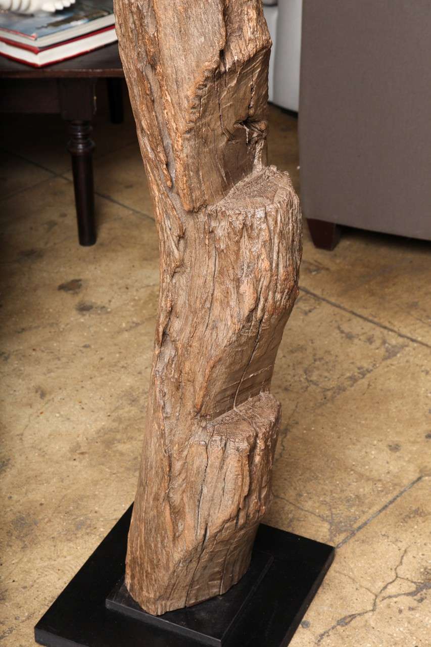 Dogon Ladders 1