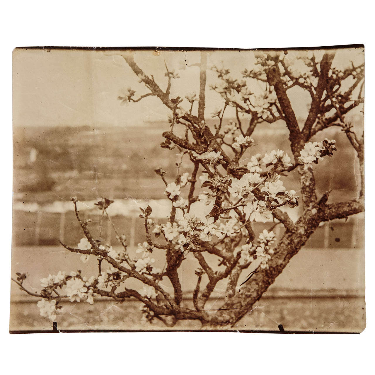 Rare photographie originale d'Eugene Atget, circa 1900