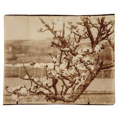 Rare Original Eugene Atget Photograph, circa 1900 10