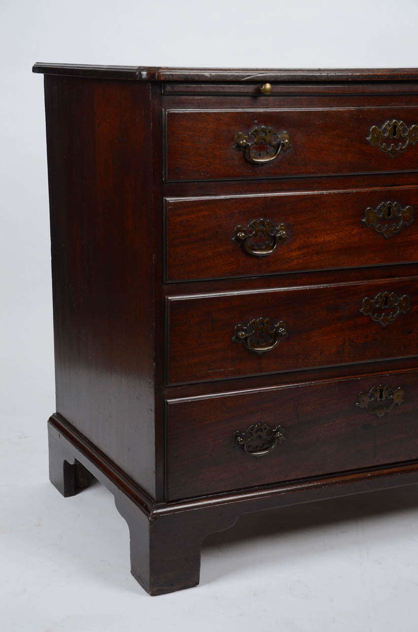 A Rare George Ii Period Mahogany Bachelor's Chest. For Sale 4