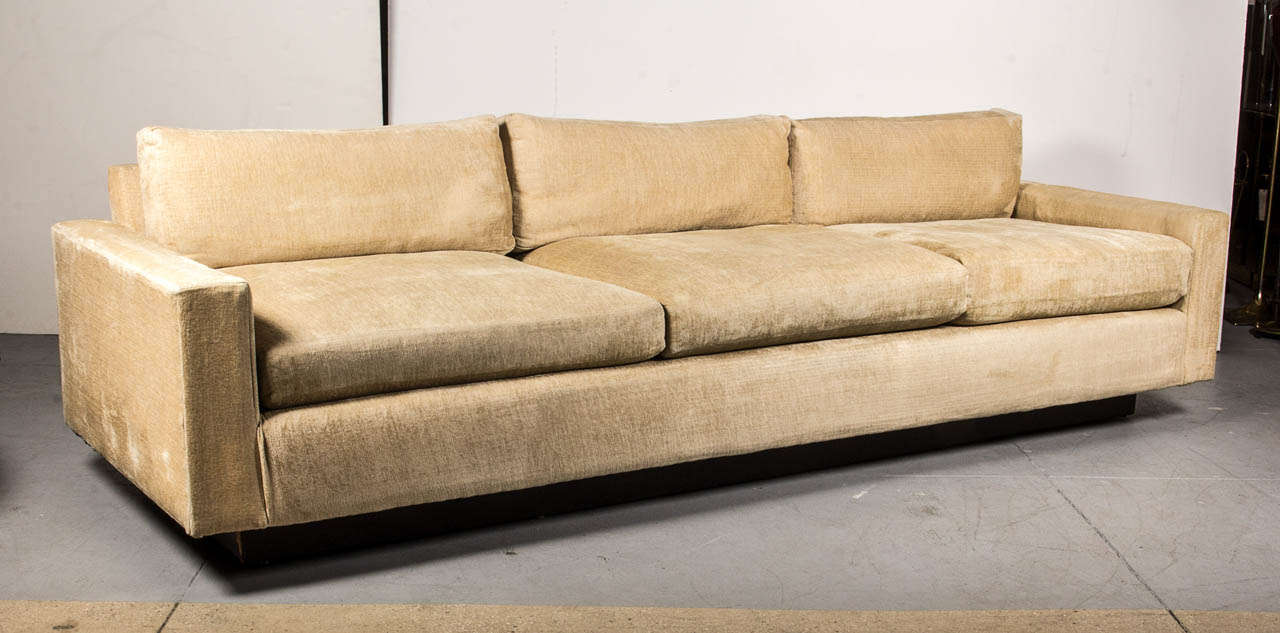 A tuxedo-style, low-profile, three-seater sofa with back cushions, on an ebonized wood plinth base.  By Harvey Probber.  Labeled.  USA, circa 1950.  Retains the original beige velvet upholstery.  COM option available for an additional fee.

Arm